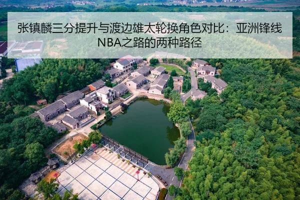 张镇麟三分提升与渡边雄太轮换角色对比：亚洲锋线NBA之路的两种路径