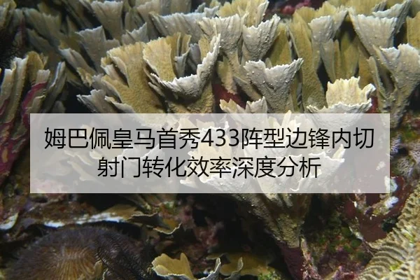 mu-ba-pei-huang-ma-shou-xiu-zhen-xing-bian-feng-nei-qie-she-men-zhuan-hua-xiao-lv-shen-du-fen-xi-3-495.jpg