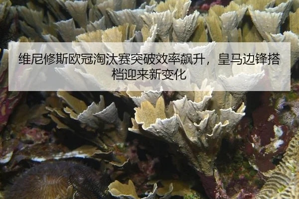 wei-ni-xiu-si-ou-guan-tao-tai-sai-tu-po-xiao-lv-biao-sheng-huang-ma-bian-feng-da-dang-ying-lai-xin-bian-hua-3-627.jpg